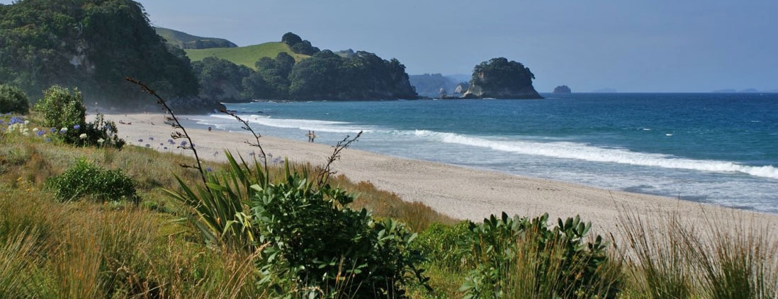 Waihi New Zealand