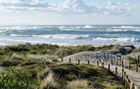 Waihi Beach