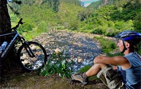 Karangahake Gorge Historic Walkway